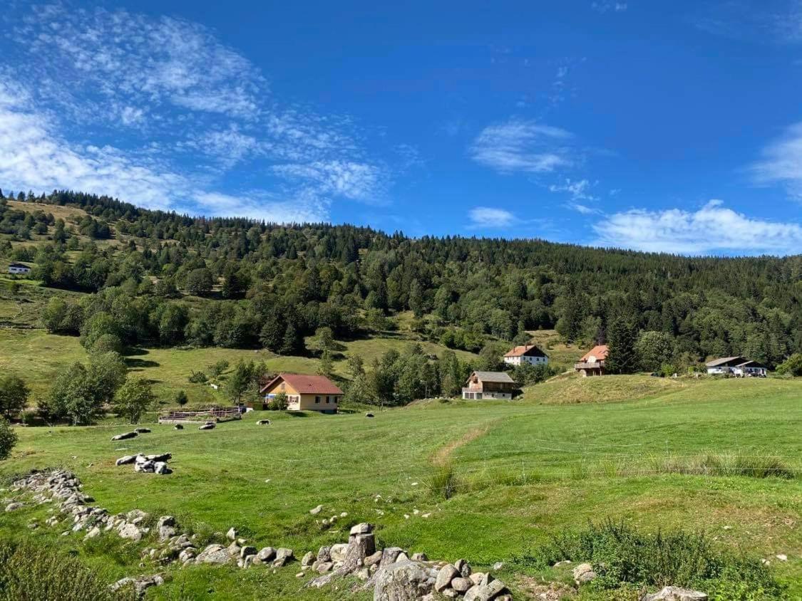 Chalet Spa Le Diamant Nathalie Mn La Rouge Ла-Бресс Екстер'єр фото